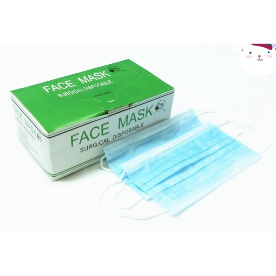 3-Ply Cleanroom Face Mask Earloop