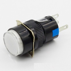 Button Switch Momentary 220V
