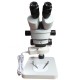 Microscope Binocular Stereo Microscope Binocular Stereo