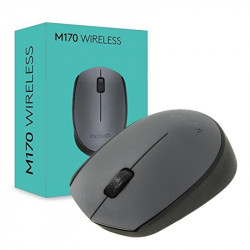 Mouse Logitech M170